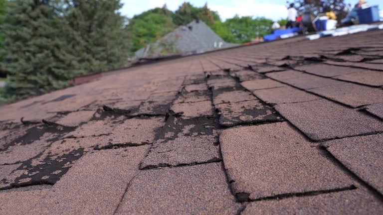 Best Roof Leak Repair  in Myerstown, PA